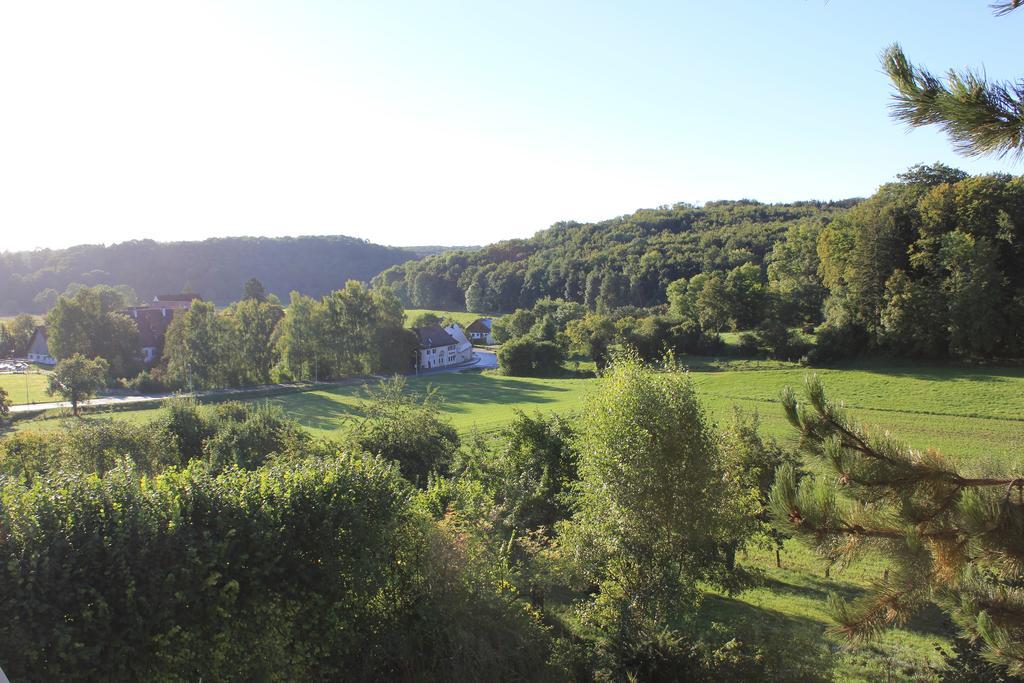 Herbrechtingen Hotel Haus Kallenberg חדר תמונה