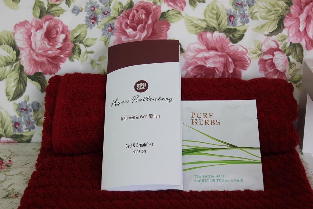Herbrechtingen Hotel Haus Kallenberg חדר תמונה